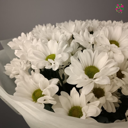 Букет из Хризантемы Чик