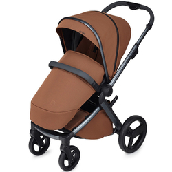 Детская коляска Anex l/type 3 в 1 Hazel