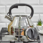 Чайник 3л нерж со свистком, индукция, Z-4522