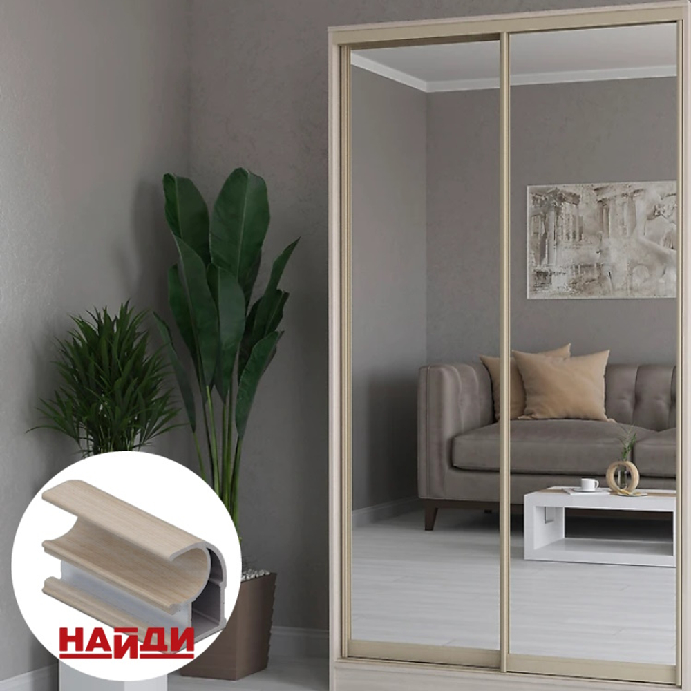 Дверь-купе NAIDY С, зеркало, профиль береза нордик