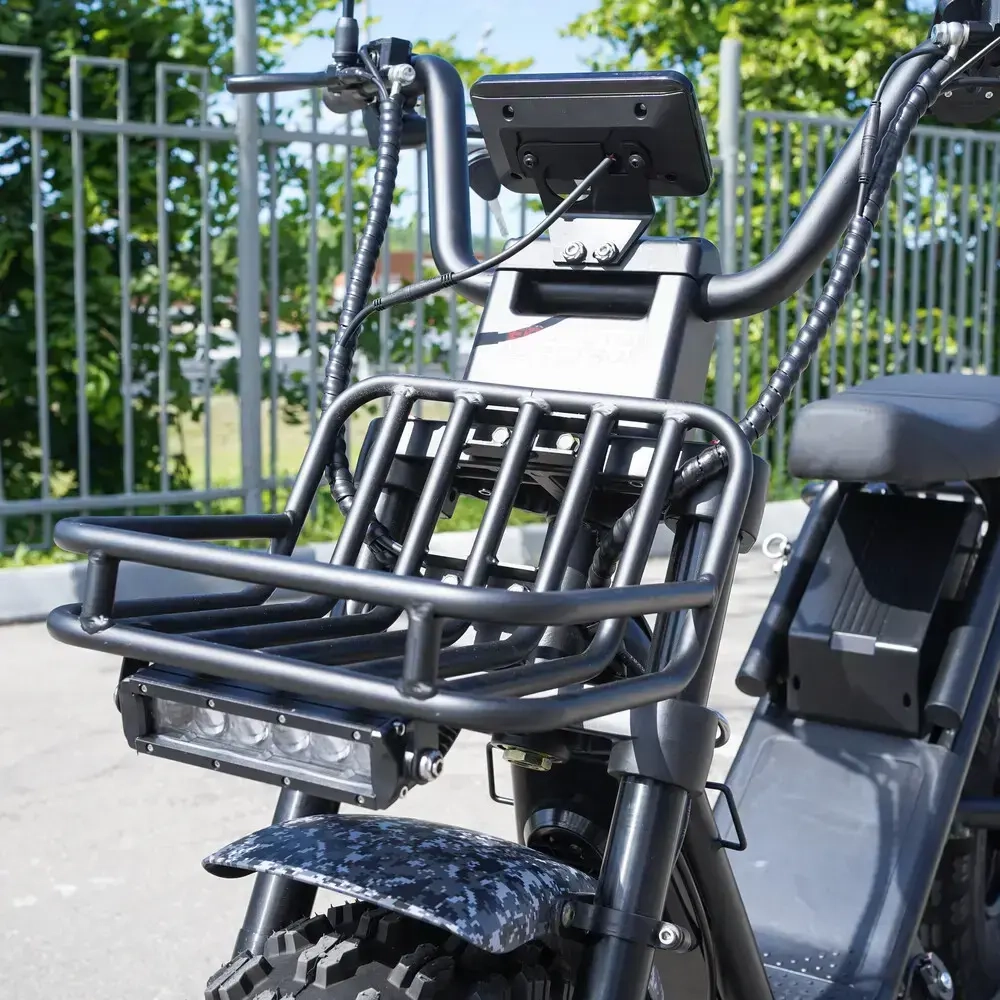 EcoMoto Lion Off-Road E1200W Back Edition