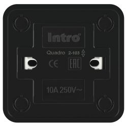 Переключатель Intro Quadro 2-103-05 10А-250В IP20 ОУ антрацит | Intro