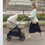 Коляска Inglesina Aptica System Duo 2 в 1 2025 Pashmina Beige