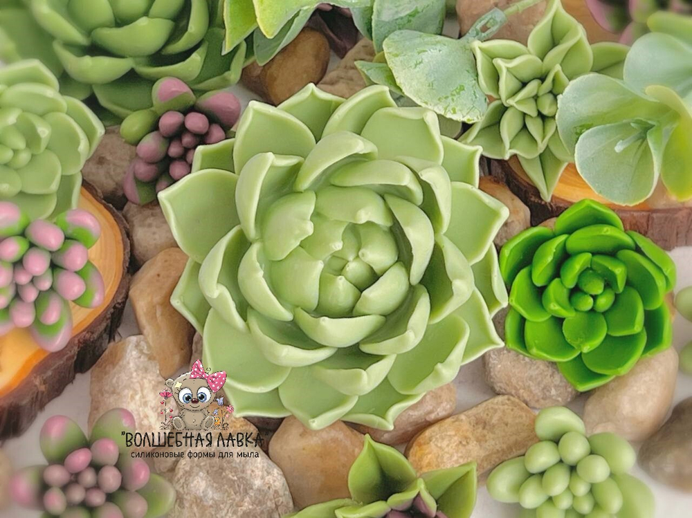 Силиконовая форма Суккулент