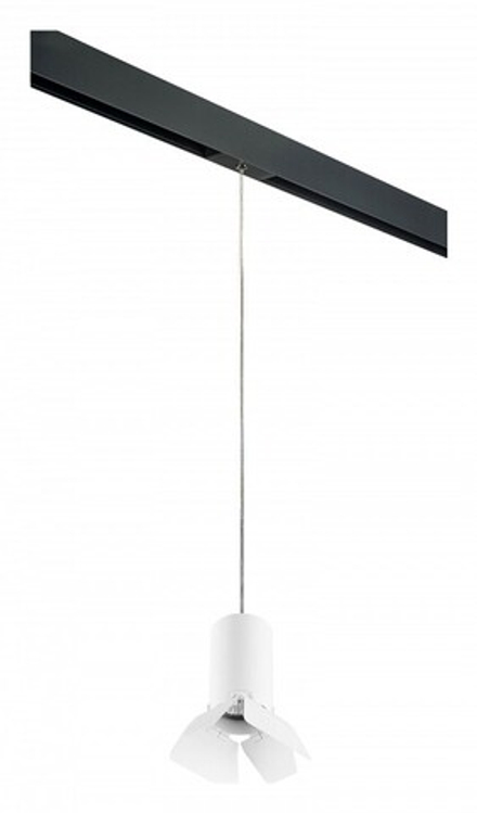 Подвесной светильник Lightstar Rullo PRORP436436