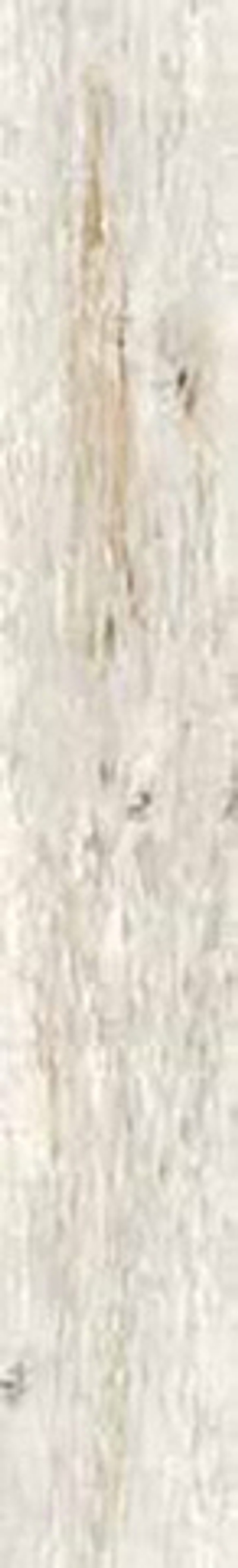 Керамогранит INWOOD IVORY