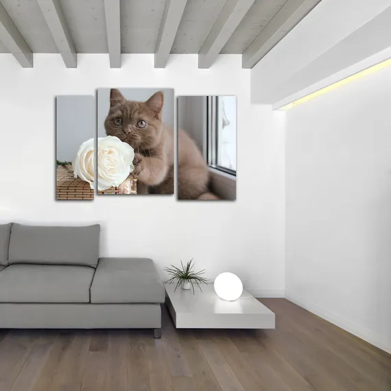 Модульная картина "Котенок с розой"