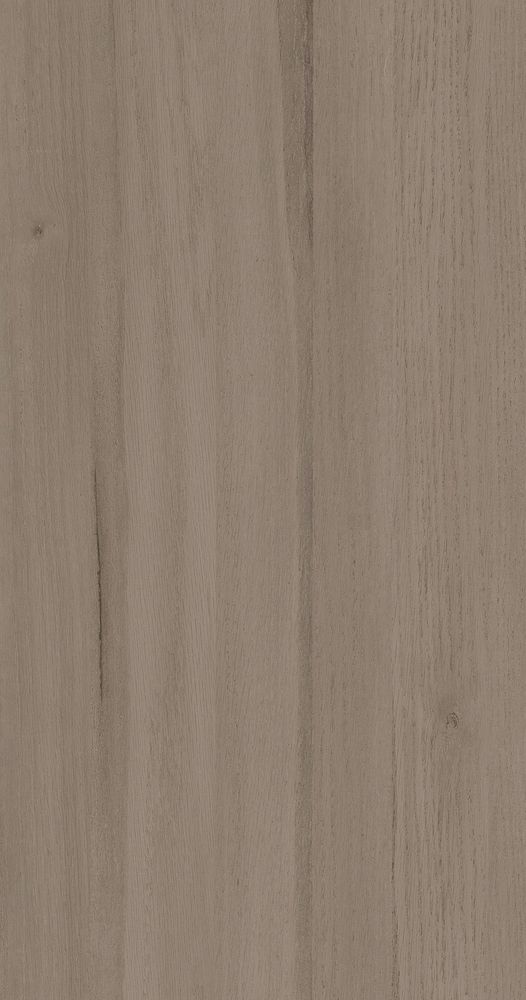 Монгольский дуб Тайн