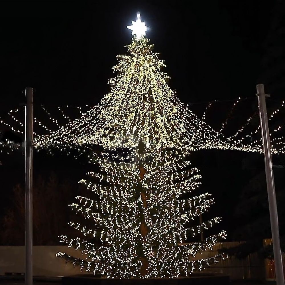 Светодинамическая елка ствольная со скамейкой, встроенная гирлянда: Холодный свет - "Лесная" Литая хвоя - от 6 до 18 м