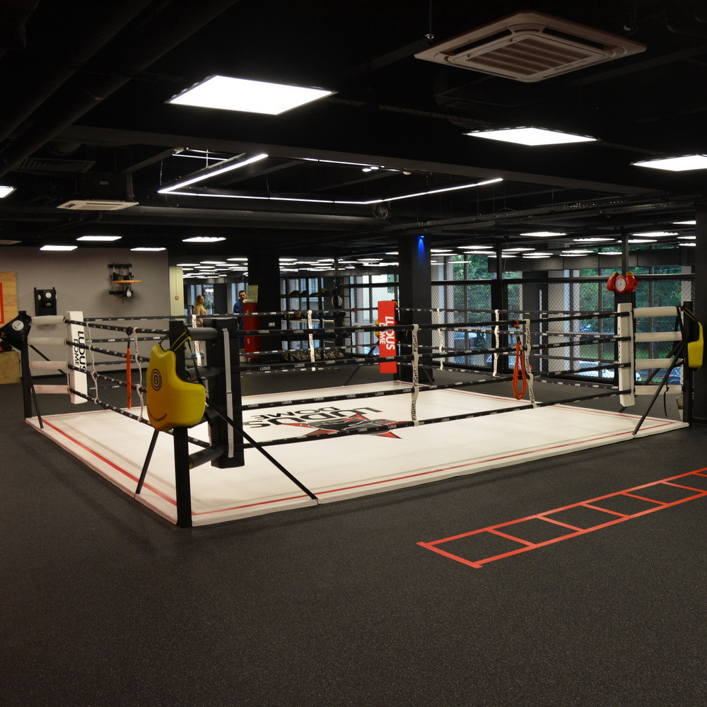 Боксерский ринг в раме