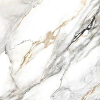 Alma Ceramica Arabesco GFU57ARS04R 57x57