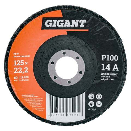 Круг лепестковый (125x22.2 мм; P100) Gigant G-11038