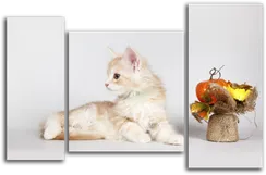 Модульная картина "Маленький подарок"