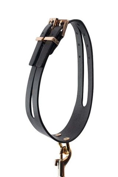 Черный ошейник PREMIUM COLLAR LEASH SET с золотистым поводком (Цвет: черный с золотистым)