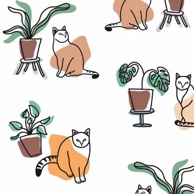 Коты и домашние растения