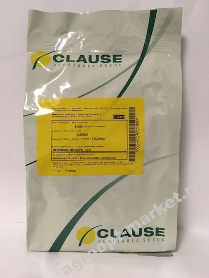 МЕГАТОН F1 семена кукурузы (Clause | Alexagro)