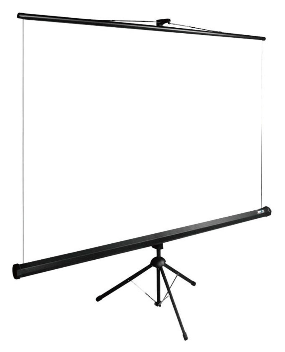 Экран  Cactus CS-PSTE-160X160-BK