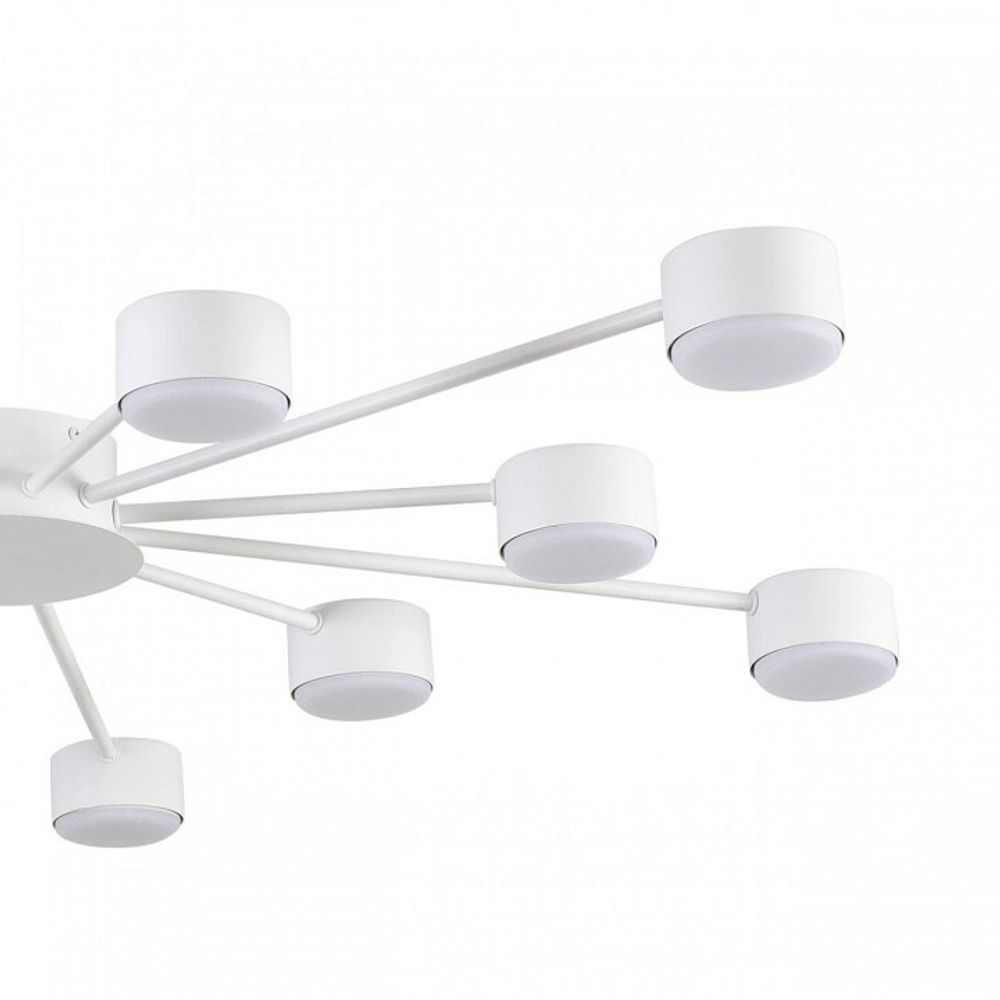 Потолочная люстра Lumion TORINA 8343/12C