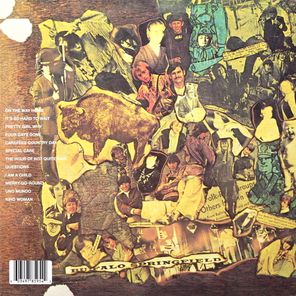 Buffalo Springfield / Last Time Round (LP)