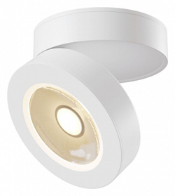 Спот Maytoni Technical C022CL-L12W4K