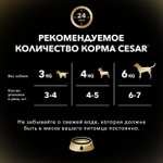 Жаркое с уткой, 85гр влажный корм для собак, Cesar