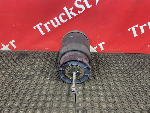 Подушка пневмоподвески задняя 2018г.