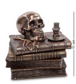 Veronese WS- 74/ 1 Шкатулка «Тайные знания»