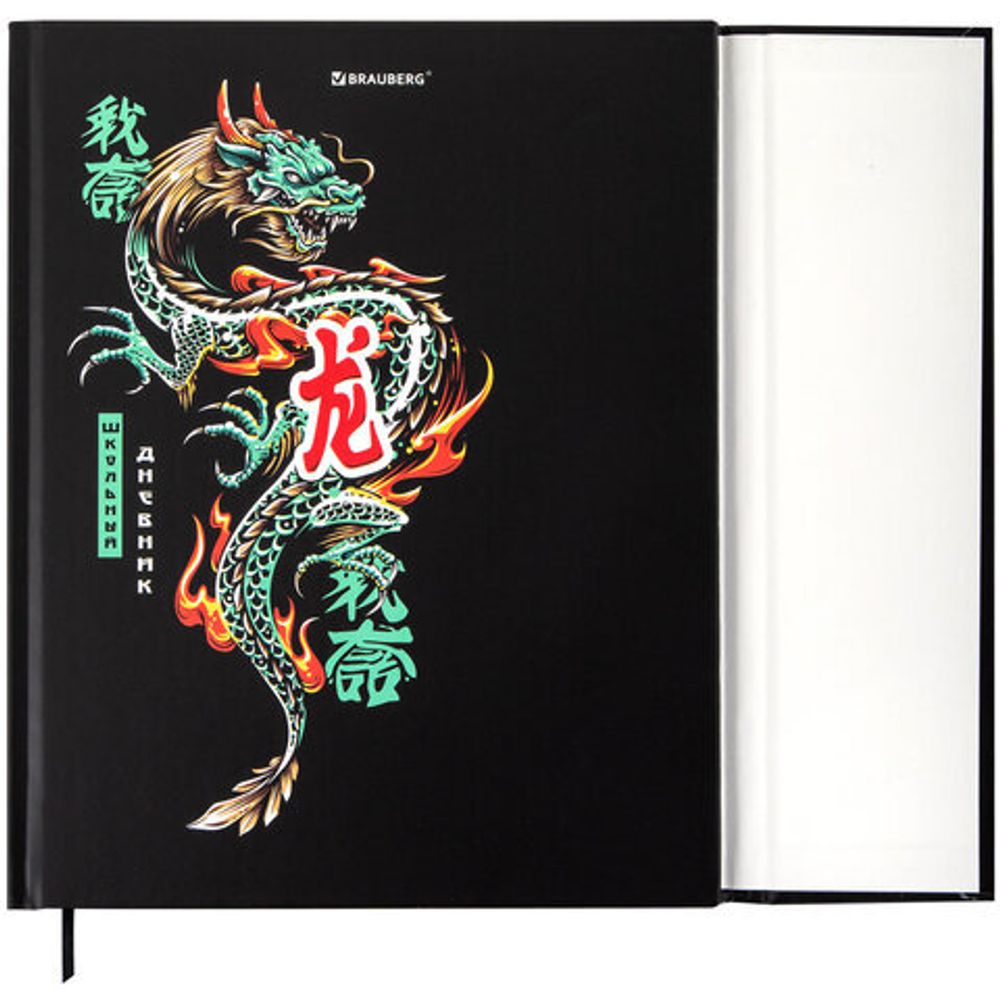 Дневник 1-11 класс 48 л., твердый, BRAUBERG, матовая ламинация, магнитный клапан, закладка-ляссе, с подсказом, "Дракон", 107245