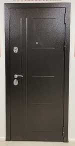 Дверь входная Дельта