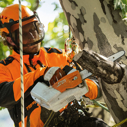 Мотопила Stihl MSA 161 T 10" без аккумулятора и ЗУ