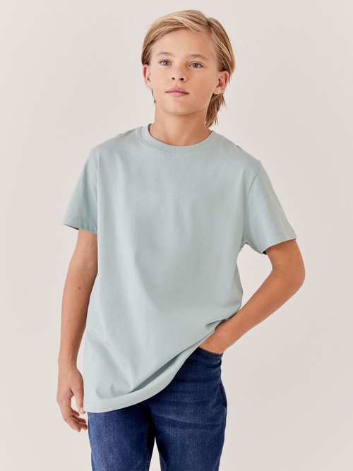 Футболка для мальчика Next 568-892, Хаки