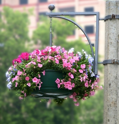 Цветочница Фигурная 2