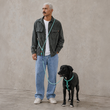 Поводок handsfree VERT VELVET VIBES Zee.Dog