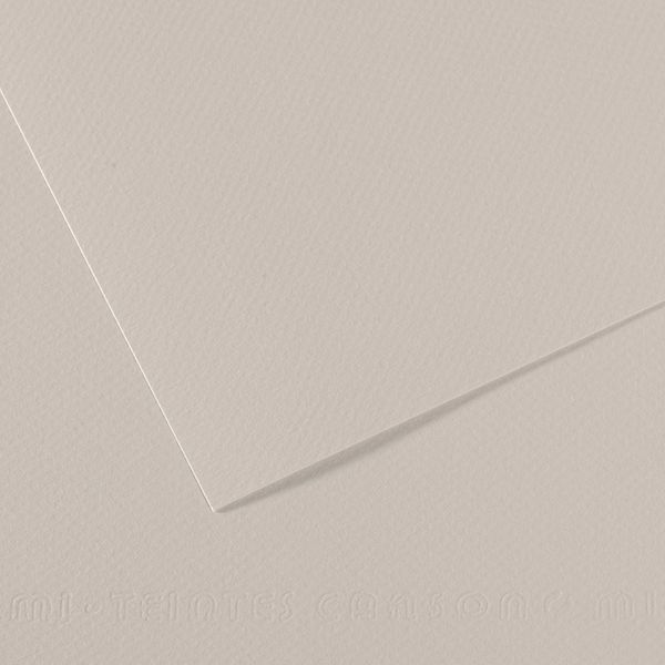 Бумага для пастели Mi-Teintes 160 г/м², 75х110 см, 10 л, №120 Жемчужно-серый, Canson, C31032S159