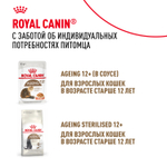 Royal Canin Ageing 12+ Эйджинг Корм влажный для взрослых кошек в возрасте старше 12 лет желе 85г