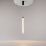 Подвесной светодиодный светильник Maytoni Ray P022PL-L10B