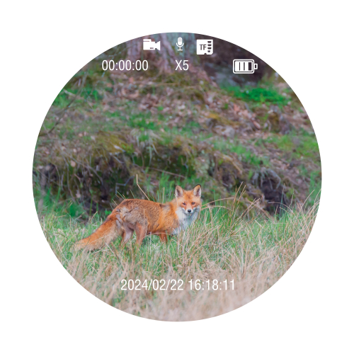 Монокуляр цифровой ночного видения Veber DigiView NM-01