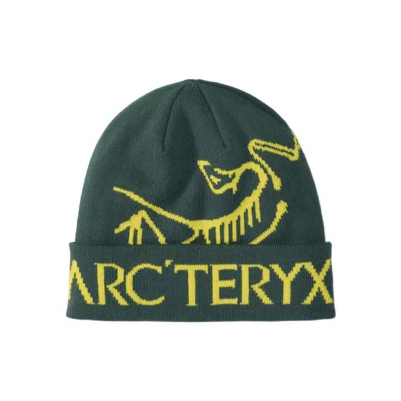 Arcteryx Logo