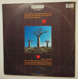 Винтажная виниловая пластинка LP Pink Floyd Delicate Sound Of Thunder (СССР 1990)