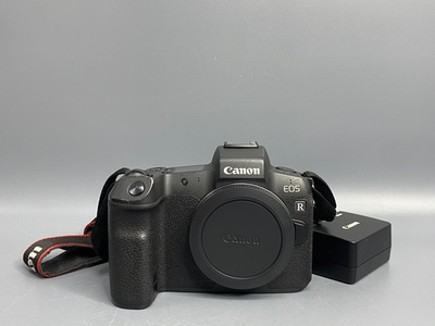 Canon EOS R 27.000 кадров