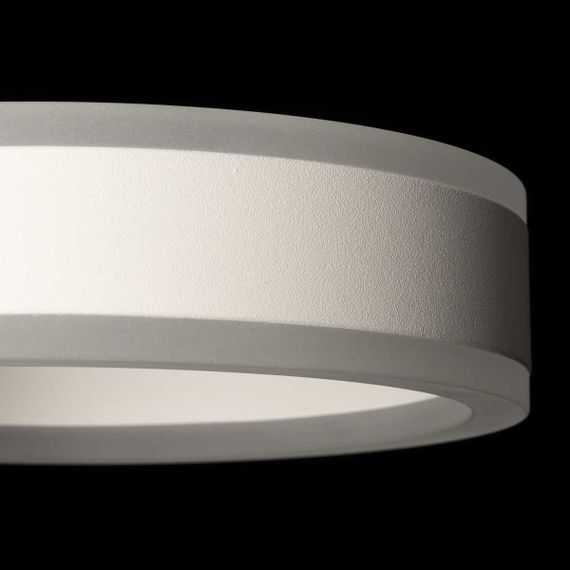 Светильник настенный Citilux Дуэт CL719310