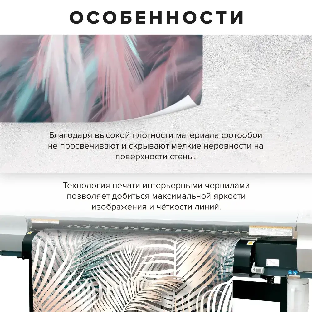 Флизелиновые фотообои на стену Обоюшкины "Кот" 306х280 (ШхВ)