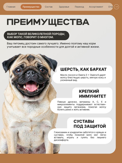 Корм сухой для пожилых собак породы Мопс старше 7 лет, с индейкой, 6 кг, QUATTRO