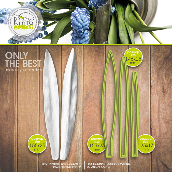 Мускари лист