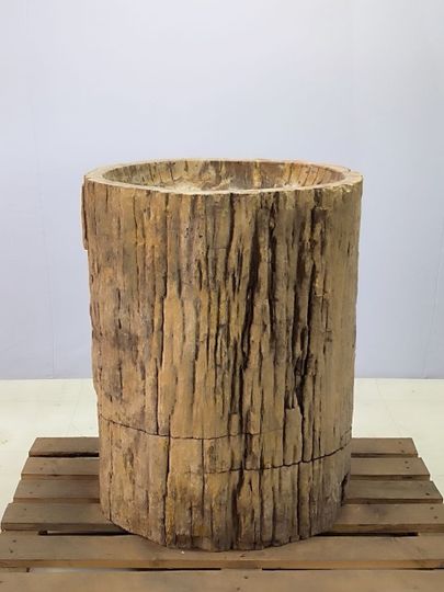 Раковины напольные из окаменелого дерева