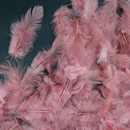 Перья 4*8см, увядшая роза 100 шт