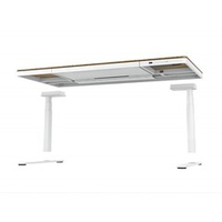 Стол для компьютера с электроприводом, QI-зарядкой и USB-портами FoxGear LIFTISCH FG-ED-55W