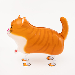ХОДЯЧАЯ ФИГУРА, КОТ