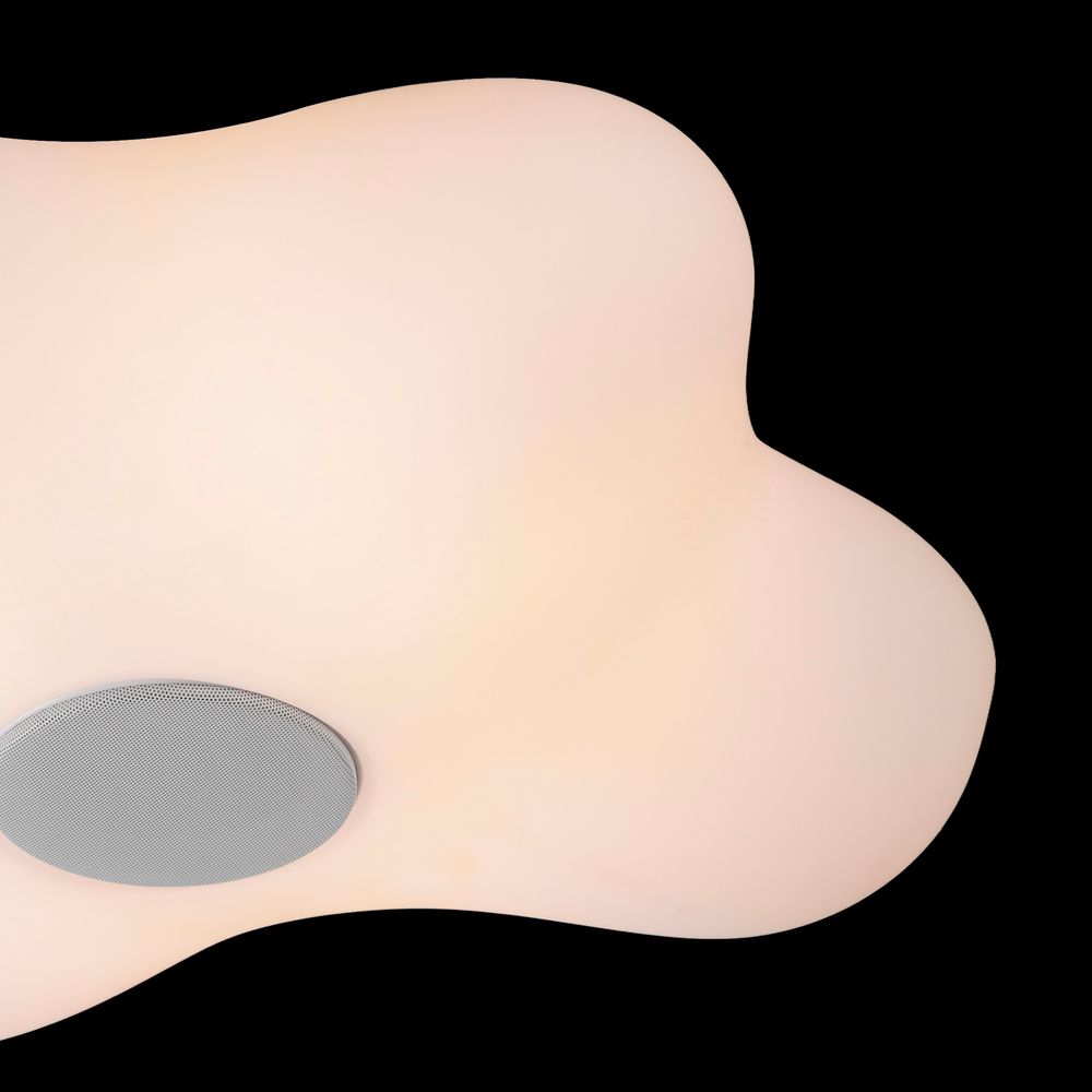 Потолочный светильник EOS 5874