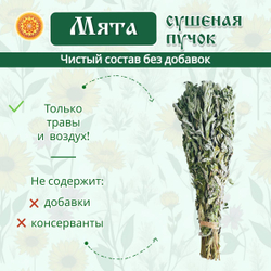 Мята дикая пучок.